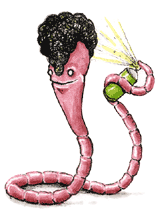 Perm-a-Worm